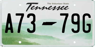 TN license plate A7379G