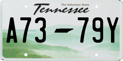 TN license plate A7379Y