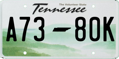 TN license plate A7380K