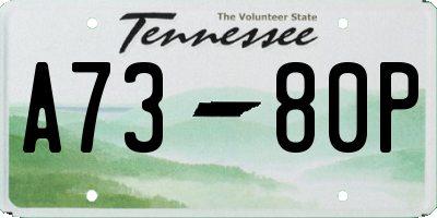 TN license plate A7380P