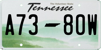 TN license plate A7380W