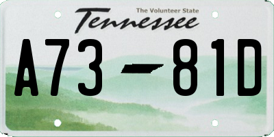 TN license plate A7381D