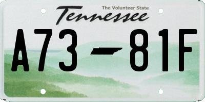 TN license plate A7381F