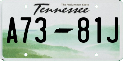 TN license plate A7381J