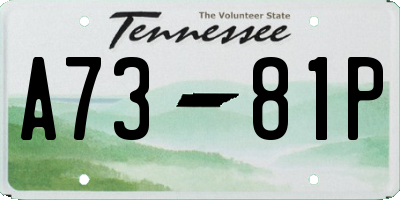 TN license plate A7381P