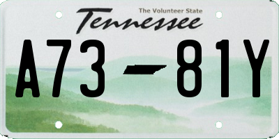 TN license plate A7381Y