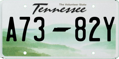 TN license plate A7382Y