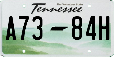 TN license plate A7384H