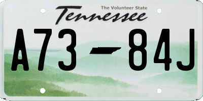 TN license plate A7384J