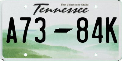 TN license plate A7384K