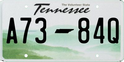 TN license plate A7384Q