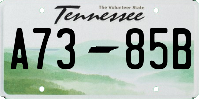 TN license plate A7385B