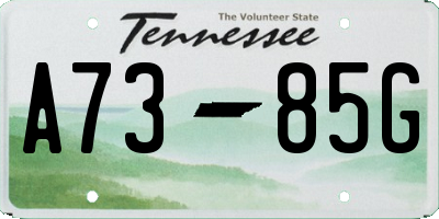 TN license plate A7385G
