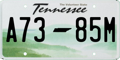 TN license plate A7385M