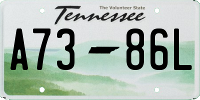 TN license plate A7386L
