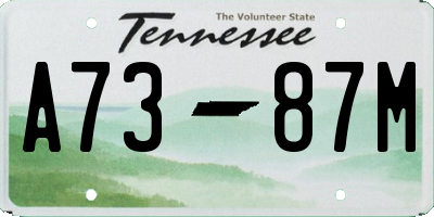 TN license plate A7387M