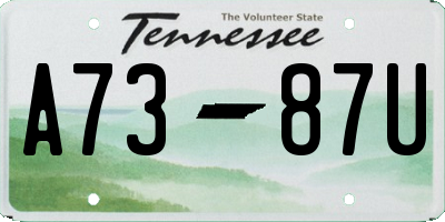 TN license plate A7387U