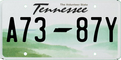 TN license plate A7387Y