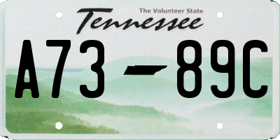 TN license plate A7389C