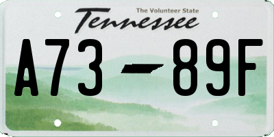 TN license plate A7389F
