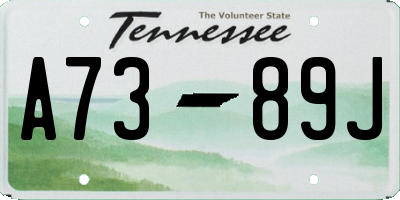 TN license plate A7389J