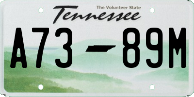 TN license plate A7389M