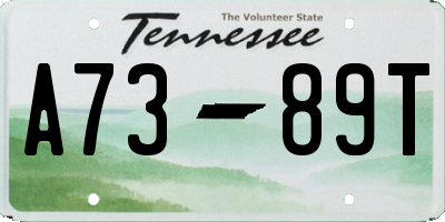 TN license plate A7389T