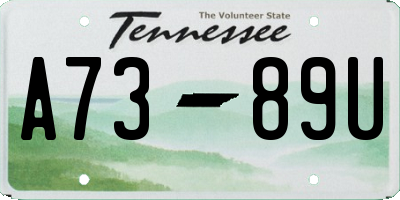 TN license plate A7389U