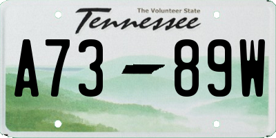 TN license plate A7389W