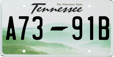 TN license plate A7391B
