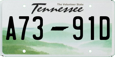 TN license plate A7391D