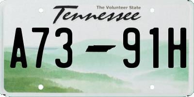 TN license plate A7391H