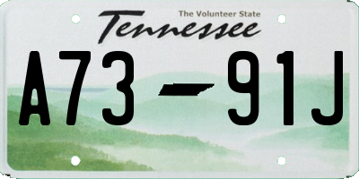 TN license plate A7391J