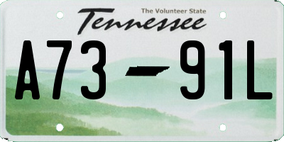 TN license plate A7391L