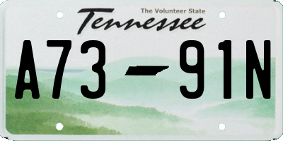 TN license plate A7391N