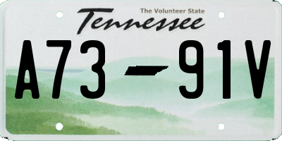 TN license plate A7391V