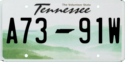 TN license plate A7391W