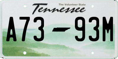 TN license plate A7393M