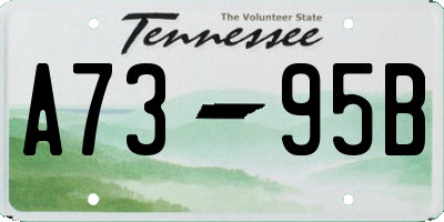 TN license plate A7395B