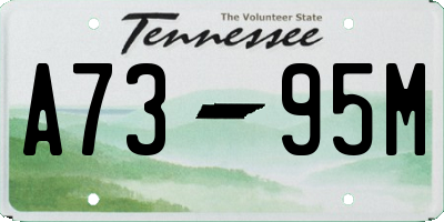 TN license plate A7395M