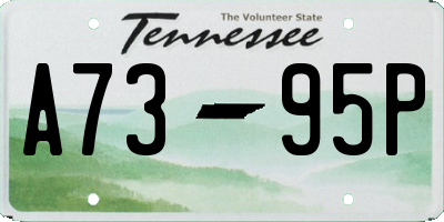 TN license plate A7395P