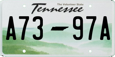 TN license plate A7397A