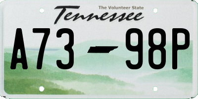 TN license plate A7398P