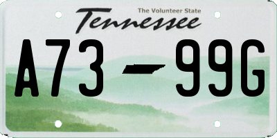 TN license plate A7399G