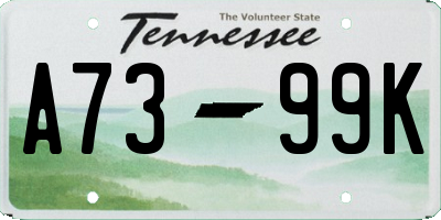 TN license plate A7399K