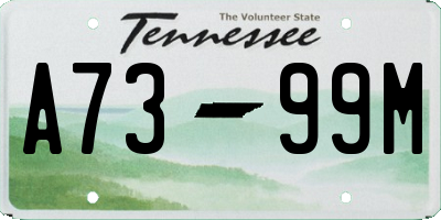 TN license plate A7399M
