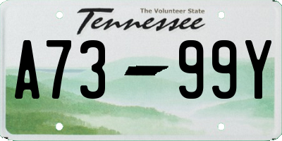 TN license plate A7399Y