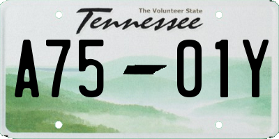 TN license plate A7501Y