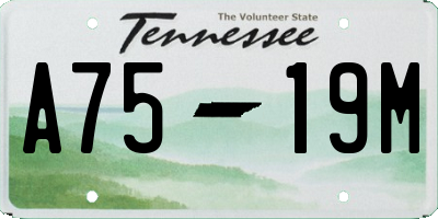 TN license plate A7519M