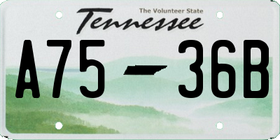 TN license plate A7536B